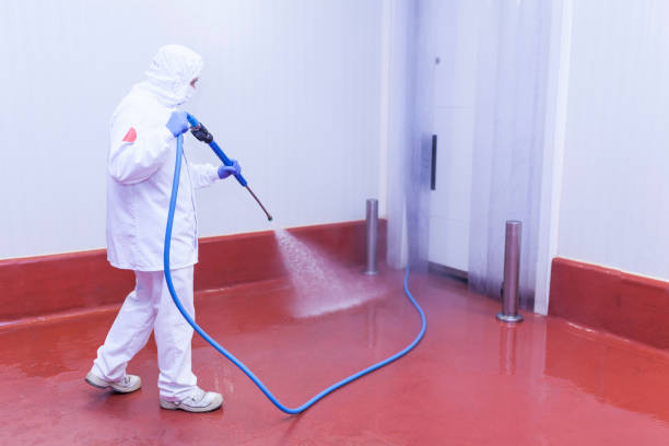 Best Driveway Pressure Washing  in Lincolnwood, IL